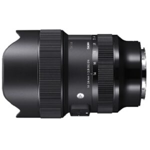 14-24mm F2.8 DG DN | Art