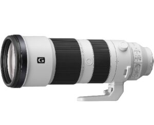 FE 200-600mm F5.6-6.3 G OSS