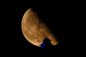 富士フイルム XF150-600mmF5.6-8 R LM OIS WR｜新型超望遠ズームレンズレビュー