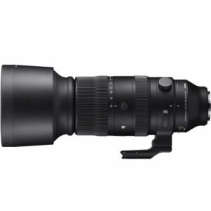 60-600mm F4.5-6.3 DG DN OS | Sports