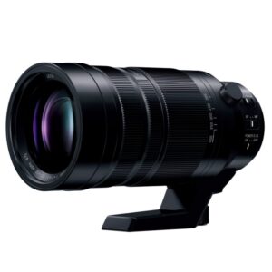 LEICA DG VARIO-ELMAR 100-400mm / F4.0-6.3 II ASPH. / POWER O.I.S.