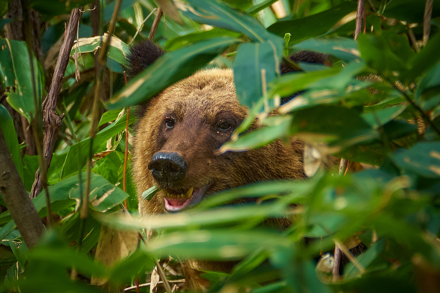 富士フイルム XF100-400mmF4.5-5.6 R LM OIS WR｜スゴさ再認識！久々の使用で気付いた強み