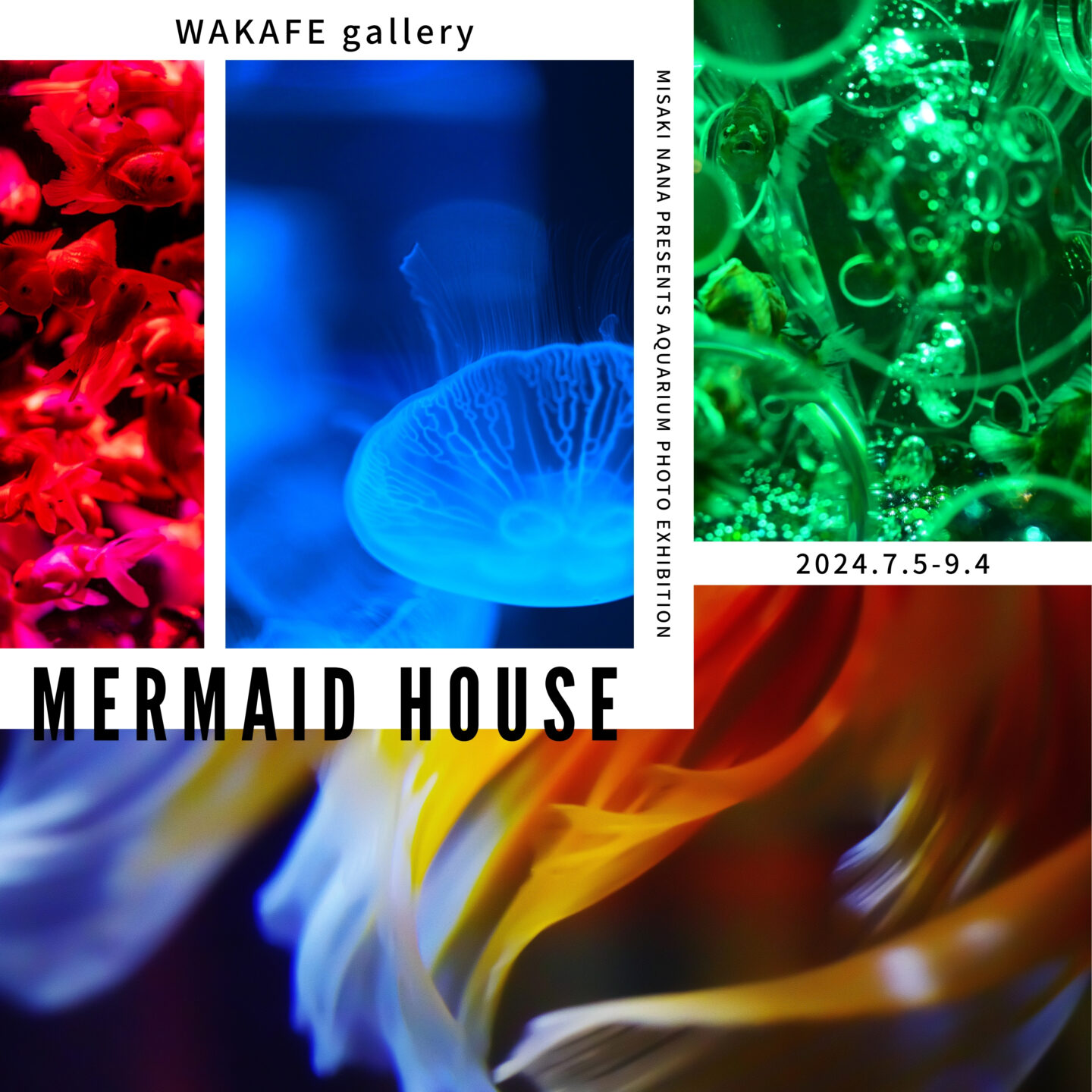 水咲奈々写真展『MERMAID HOUSE』WAKAFE galleryにて開催中