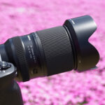 これ一本で満足！10.7倍高倍率ズーム タムロン 28-300mm F4-7.1 Di III VC VXD