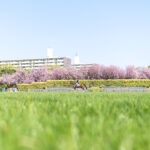 出会いは一期一会。スナップで桜の表情を楽しむ方法｜金森玲奈