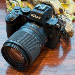 ニコン NIKKOR Z DX 18-140mm f/3.5-6.3 VRで描く旅スナップ