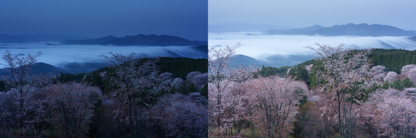 風景写真の引き出しを増やす！｜その16：Lightroomを使った画像処理で作品をレベルアップ1