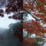 風景写真の引き出しを増やす！｜その17：Lightroomを使った画像処理で作品をレベルアップ2