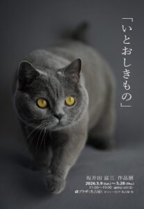 坂井田富三 作品展「いとおしきもの」 2026年5月9日～5月28日 @ソニーストア名古屋