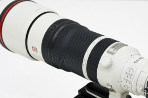 ソニー FE 100-400mm F4.5 GM OSS レビュー｜ズーム全域F4.5通しで野鳥撮影がますます快適に