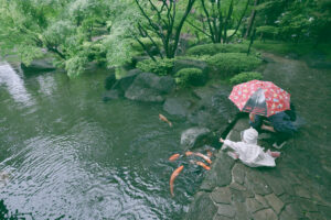 雨の日スナップのすすめ～身近な公園へ行ってみよう