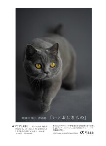 トップページ