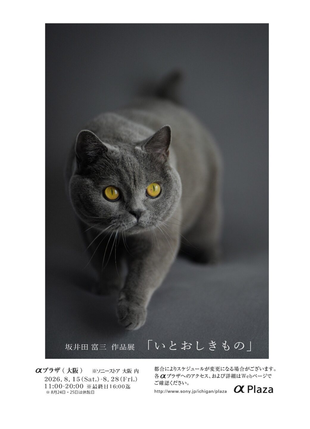 坂井田富三 作品展「いとおしきもの」 2026年8月15日～8月28日 @ソニーストア大阪