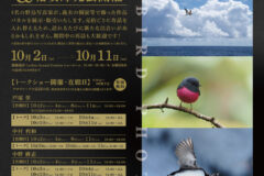 「野鳥写真家4人展」2026年10月2日～10月11日＠埼玉県西川口・Leofotoショールーム