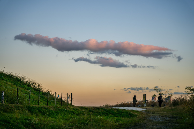 017_シグマ 28-70mm F28 DG DN Contemporaryで撮影した作例.jpg