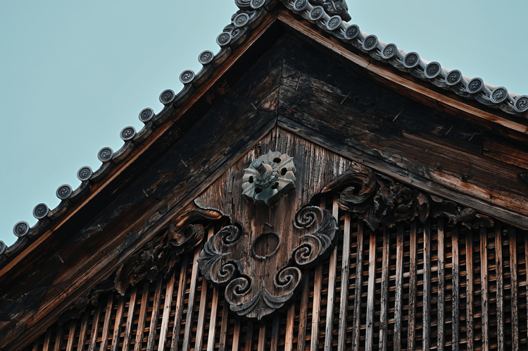01_100-400mm F5-6.3 DG DN OS Contemporaryでの作例.jpg