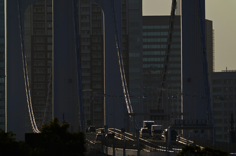 02_SIGMA 150-600mm F5-63 DG DN OS Sportsに2倍のテレコンバーターを使い焦点距離1200mmで撮影した作例.jpg