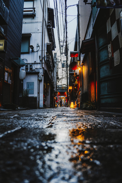 04_シグマ18-50mm F28 DC DN Contemporaryで撮影した作例.jpg