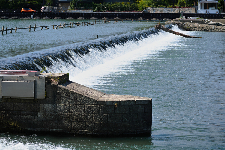 09_100-400mm F5-6.3 DG DN OS Contemporaryでの作例.jpg