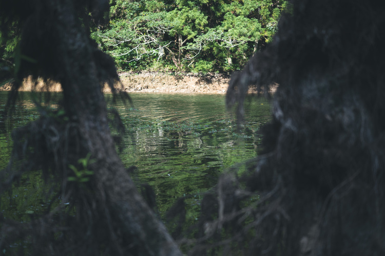 19_シグマ45mm F2.8 DG DN Contemporaryでの作例.jpg