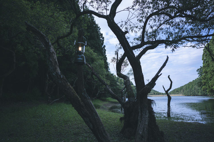 20_シグマ24mm F3.5 DG DN Contemporaryでの作例.jpg