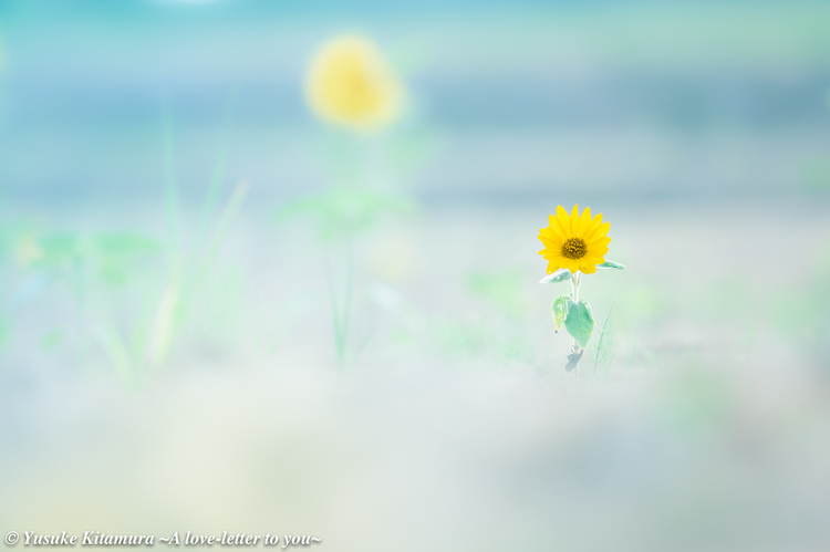 7_作例.jpg
