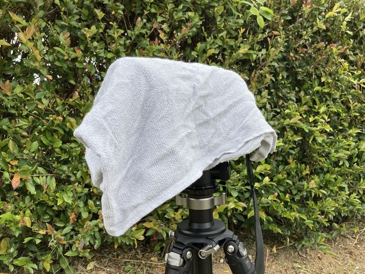 天候を味方に!条件を生かす撮影法|その2:雨天編16.jpg
