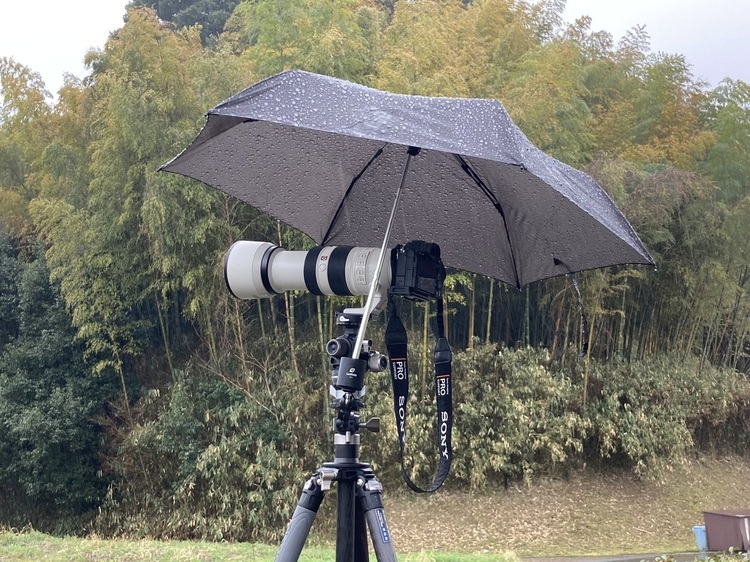 天候を味方に!条件を生かす撮影法|その2:雨天編17.jpg