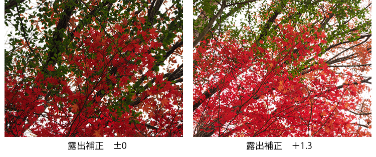 露出効果比較画像