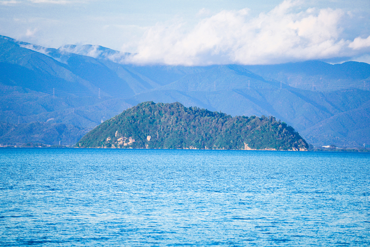 TAMRON 150-500F5-6.7DiⅢ VC VXDの作例006-350mm.jpg