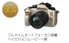金賞　LUMIX DMC-GH1