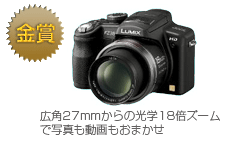 金賞　LUMIX DMC-FZ38