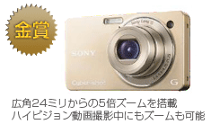 金賞　Cyber-shot DSC-WX1