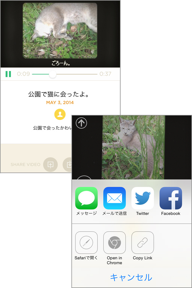 メールやSNSでの共有もできます!
