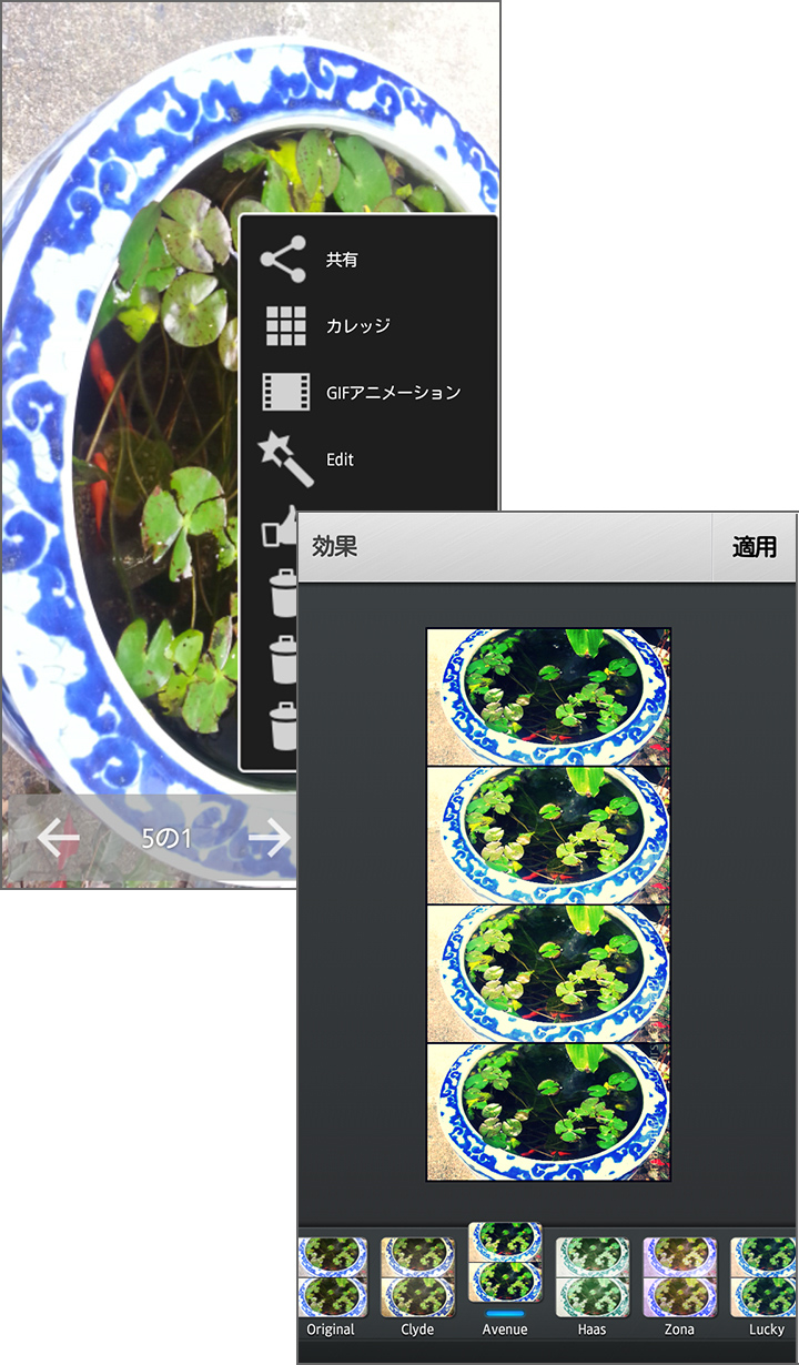 コラージュやGIFアニメで連続写真をもっと楽しく!
