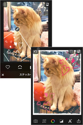 フィルタは全画面で確認できて分かりやすい!