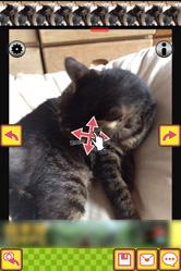 写真を選びましょう