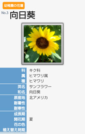 写真登録で植物図鑑らしくなりました!