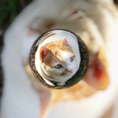 可愛くておしゃれな宙玉写真ができました!