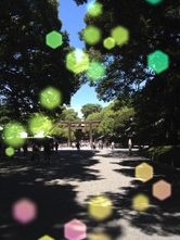 キラキラした光点ボケでかわいい写真に!