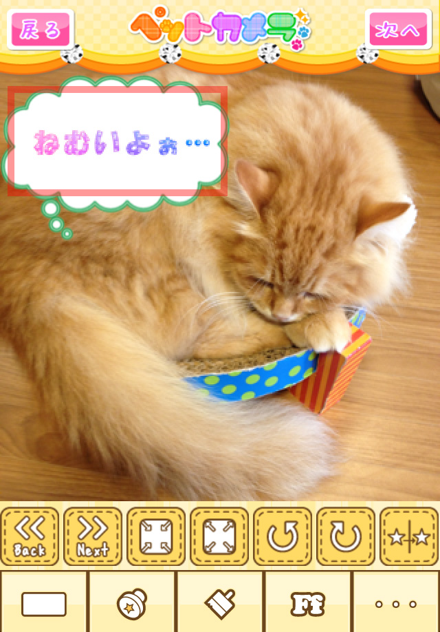 かわいくできた写真をみんなへお披露目!