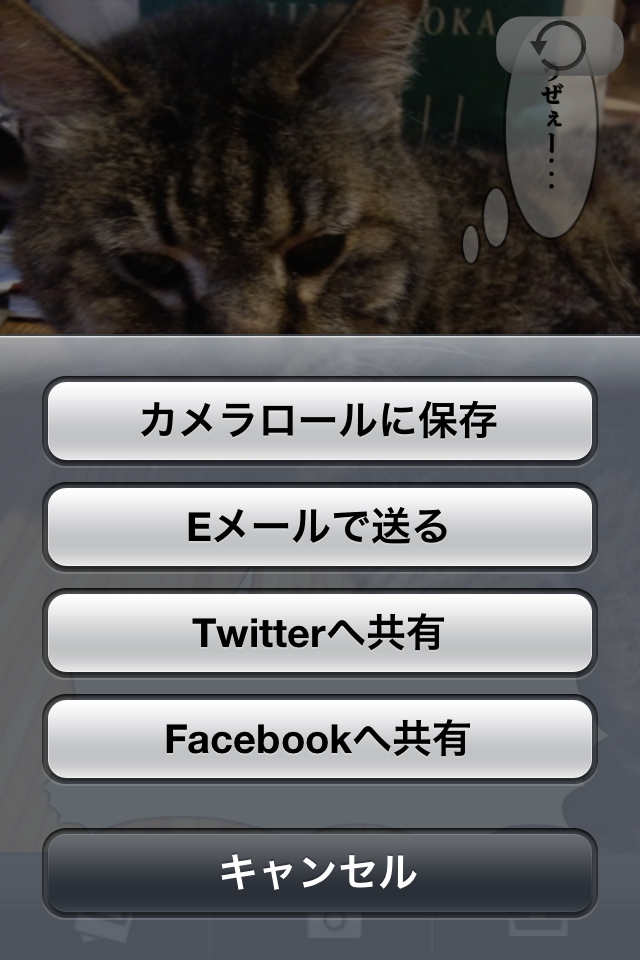 おもしろ写真はどんどん共有!