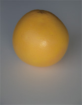 順光