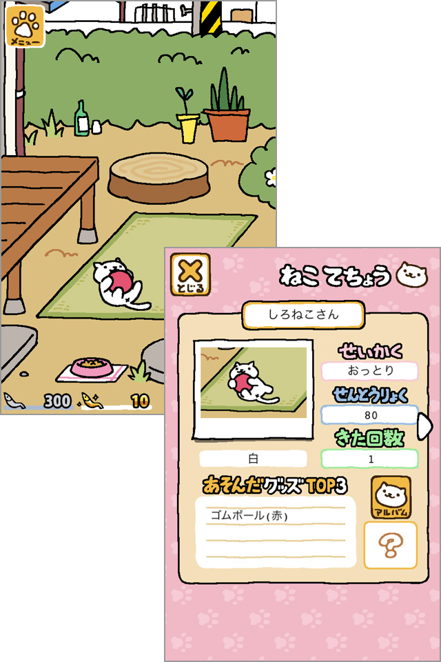 ねこがたくさん庭先に集まってきました!