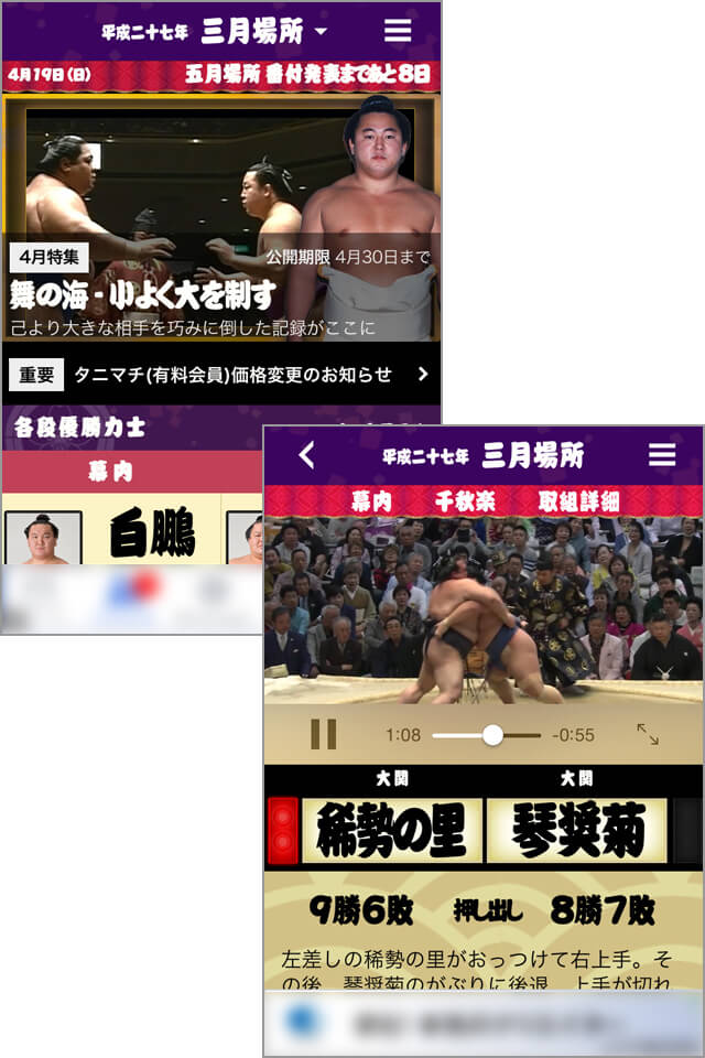 番付表から引退力士まで細やかな情報をカバー!