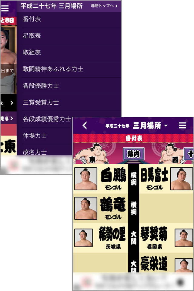 番付表から引退力士まで細やかな情報をカバー!