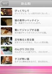 動画は毎日更新!